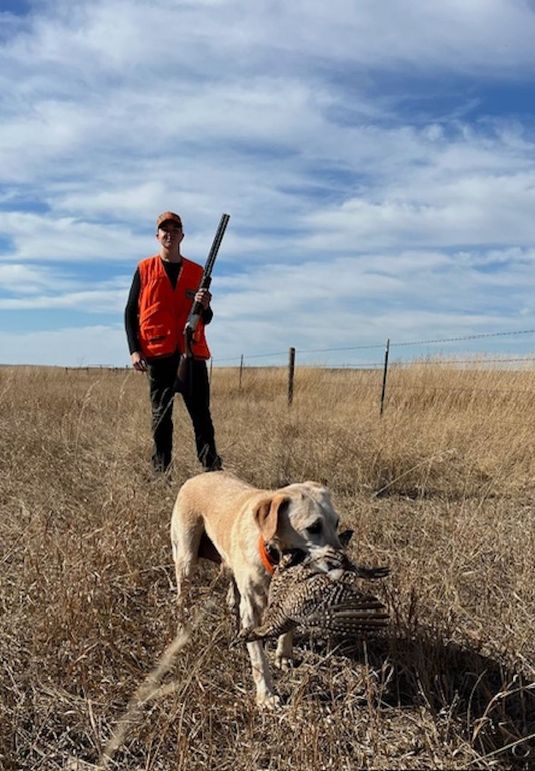 ddaa4f5b-7095-4675-ab6a-d6637d228e6c