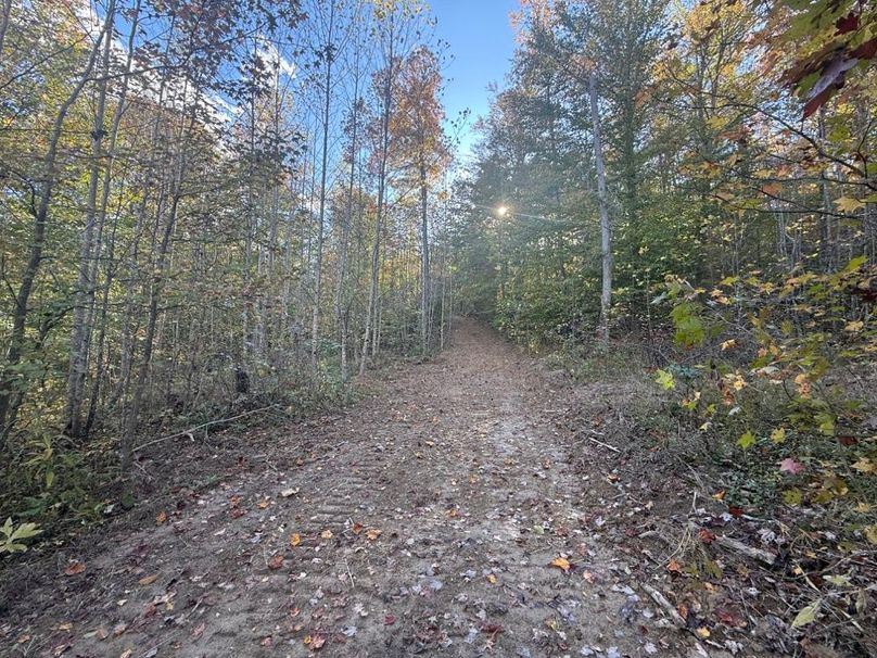 013 the trail system leading throughout the property
