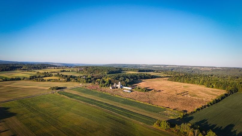 Copy of Wood Main Listing Photo 5