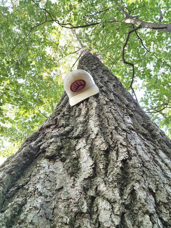 382336403_328179666435576_5021204429341563252_n