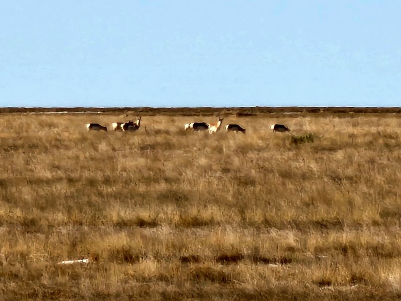 Copy of 20230208_090359