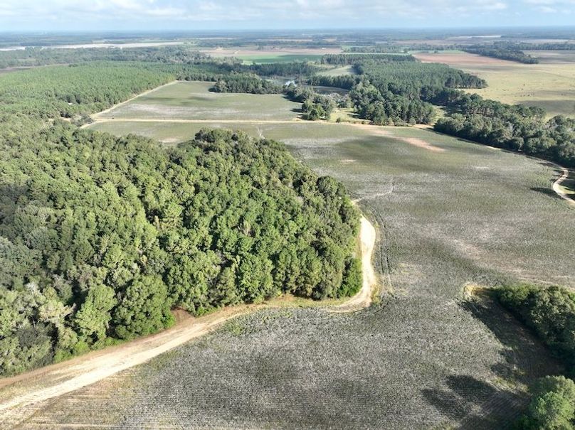 dji_fly_20251007_100822_223_1759846415617_photo