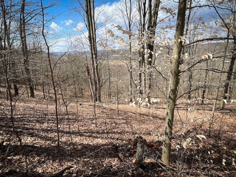 Tioga__NY_109.7_Burris_Photos_37