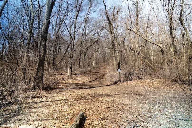 Whiteside IL 49.22_72