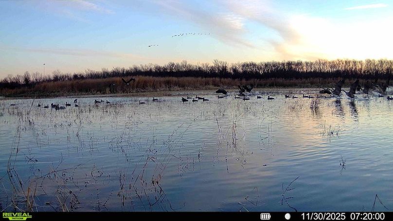 016579009122370-100-3-11302025121804-HD-SYFW00800