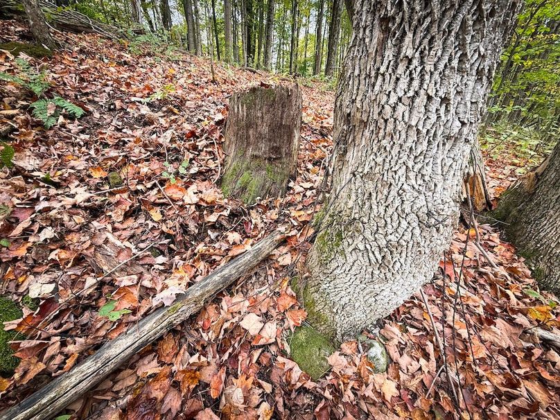 Oswego NY 6.68 Photos 36