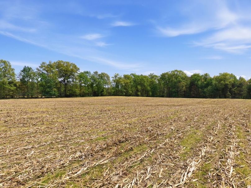 26-web-or-mls-DJI_20260424134318_0240_D