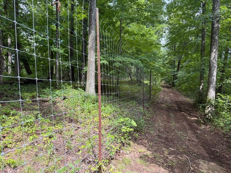 020 some of the remaining high fence area in the east part of the property