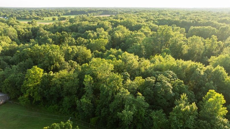 LivingstonMI41.75-140