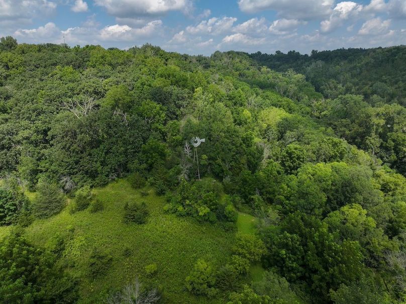 Goodhue 78.81 New -18