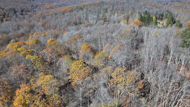 Somerset, 10.91, Tinkey-09