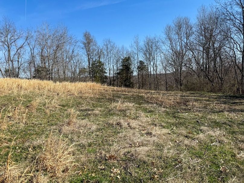 Fleming Petry 115-24