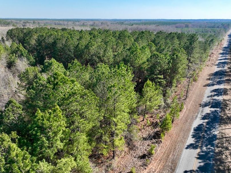 dji_fly_20260213_144028_331_1771012090514_photo