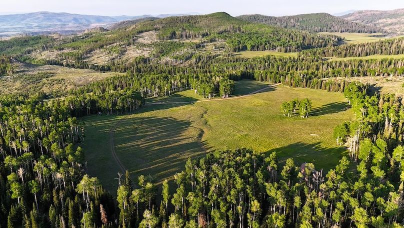 DJI_20250628072232_0211_D