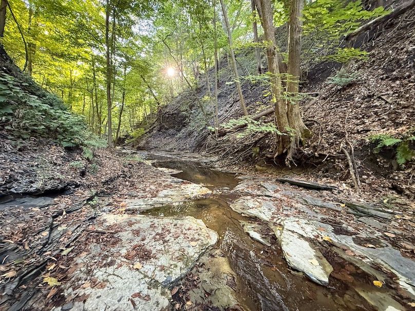 Seneca_65_Engels Photo 41c