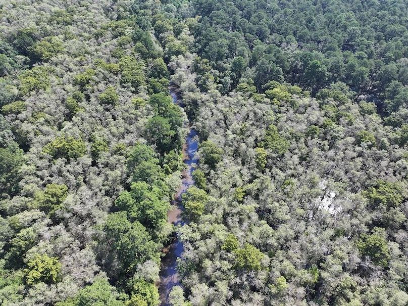 dji_fly_20250826_104510_0383_1756227533421_photo