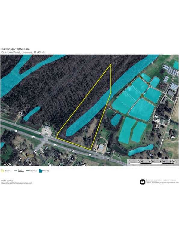 Catahoula_12_Contour