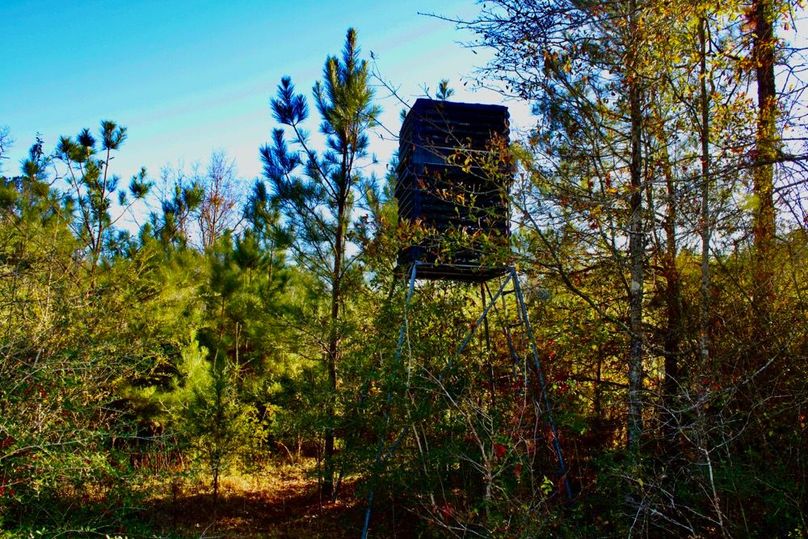 FB79A0F7-E5D2-4DB2-AA33-9F60D4D411DF_1_201_a-2