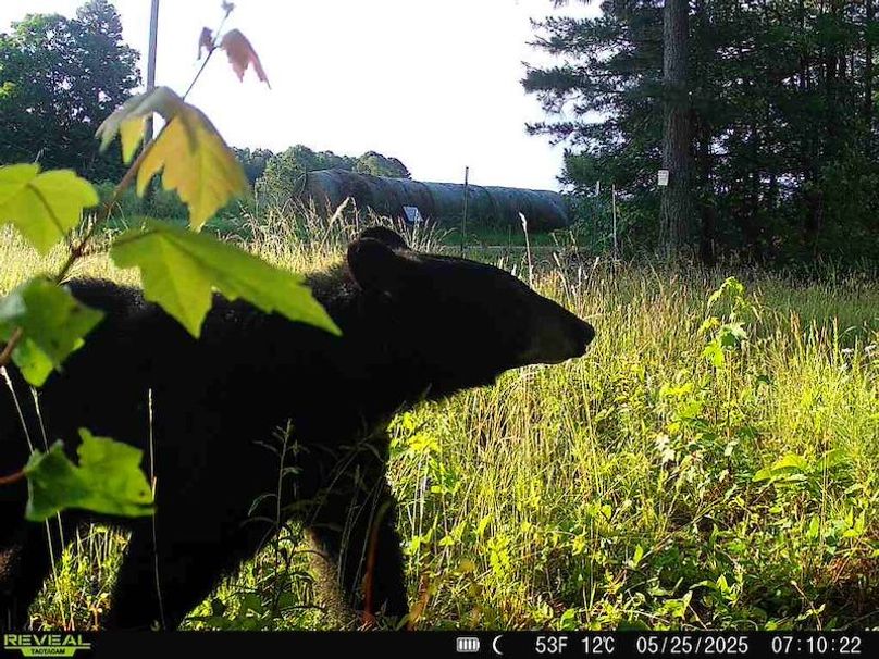 868032064794948-70-3-05252025071022-W1002950