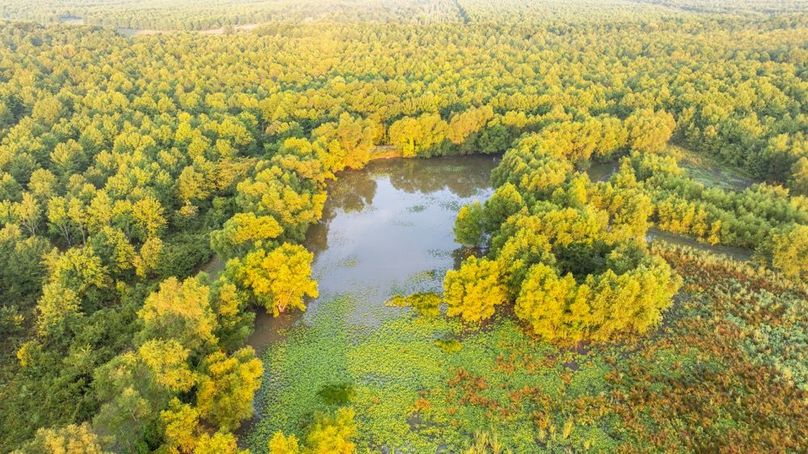 MadisonParLa1372-099