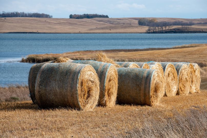 5 bales 