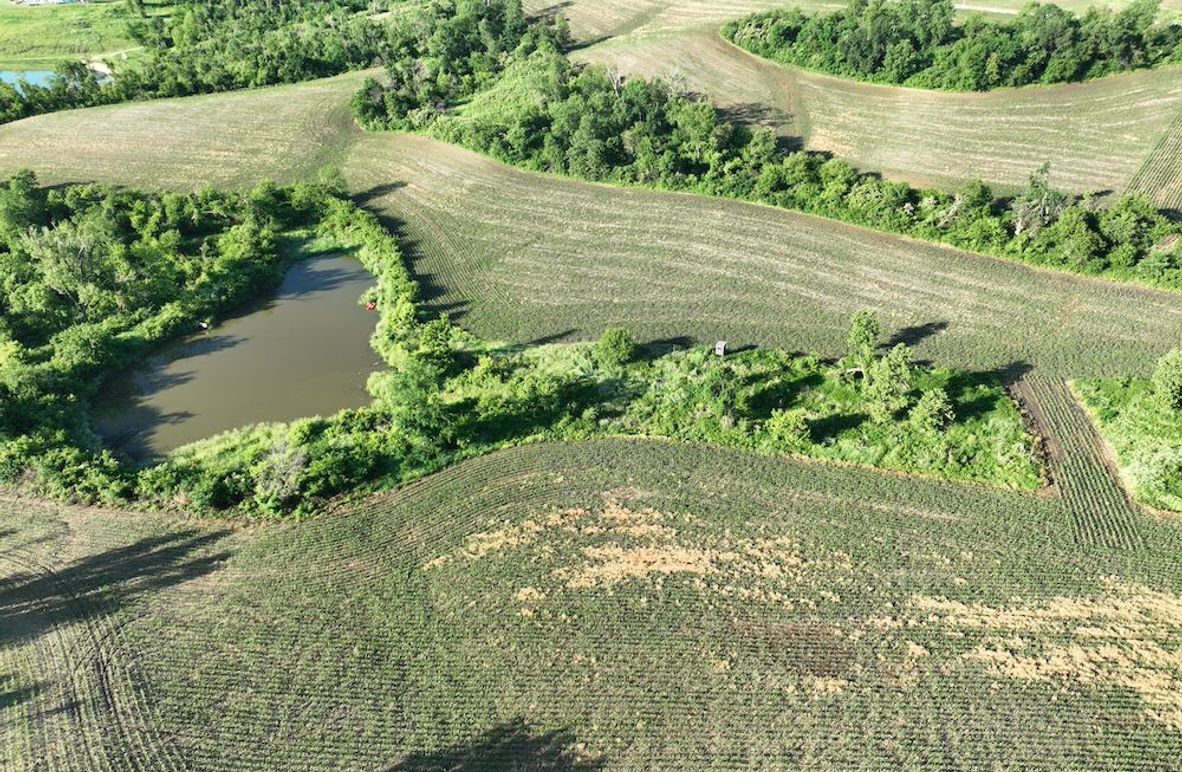 dji_fly_20260601_075852_517_1780319386989_photo