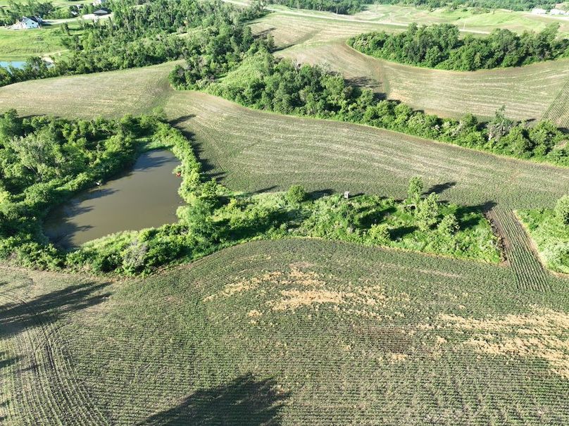 dji_fly_20260601_075852_517_1780319386989_photo