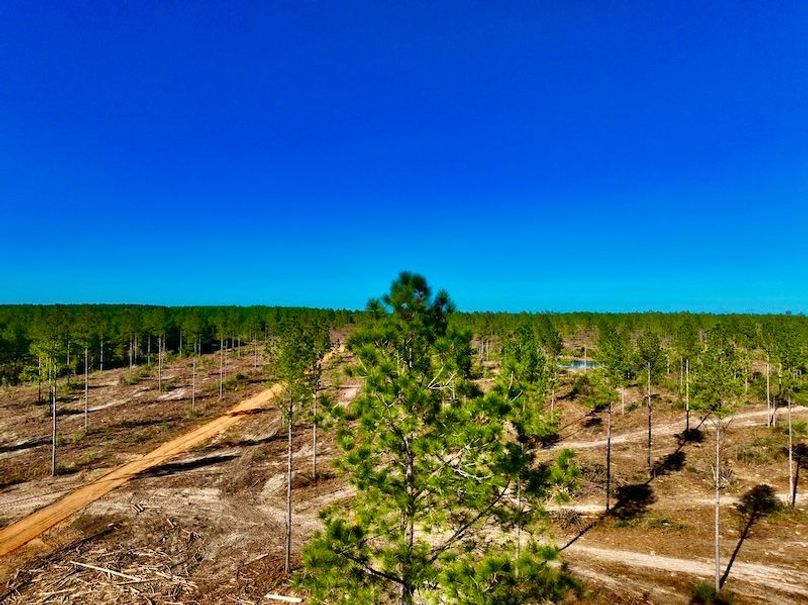 9762D554-1440-436F-9BA6-08BF8487C059_1_201_a