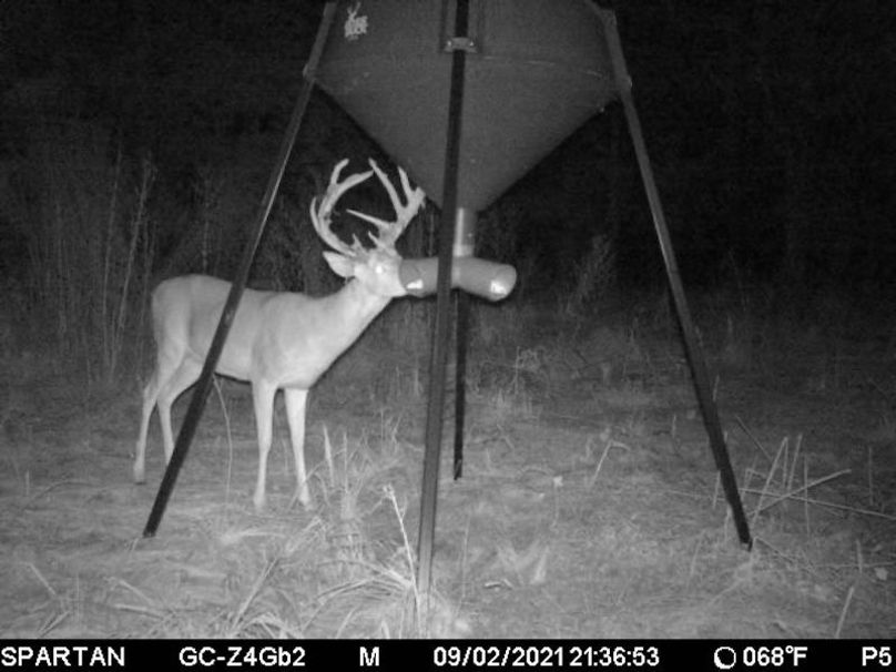 trail cam6