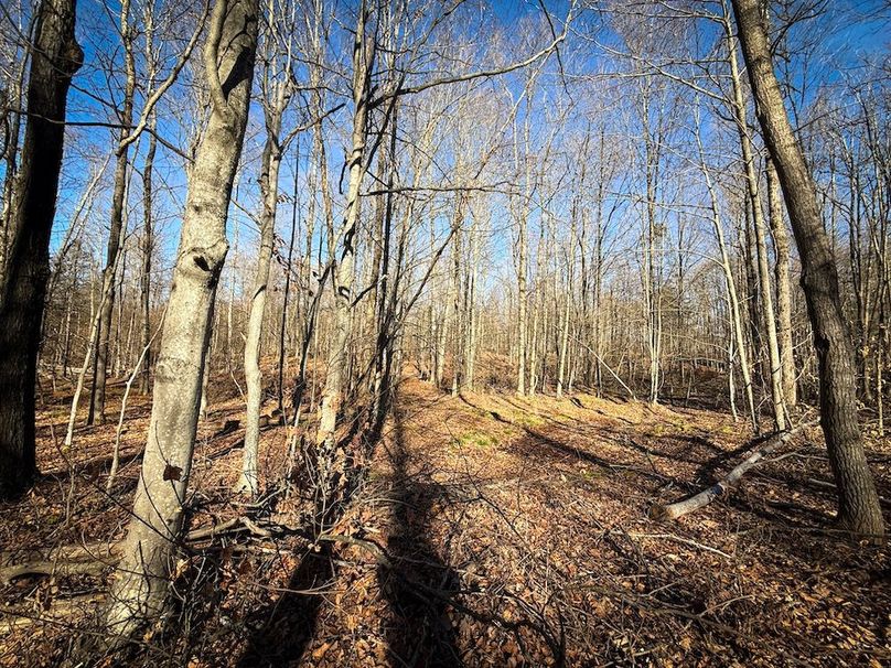 Chemung_31.75_Seymour_North_Photos_29