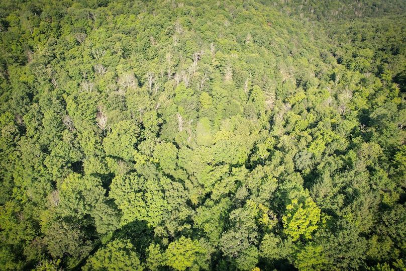 Tioga_82.5_Williams_Photos_13