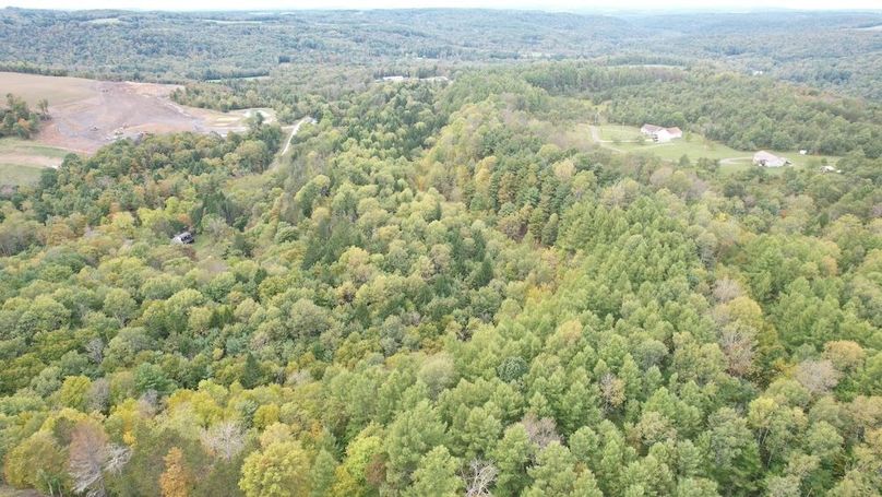 dji_fly_20240926_134538_738_1727372972713_photo