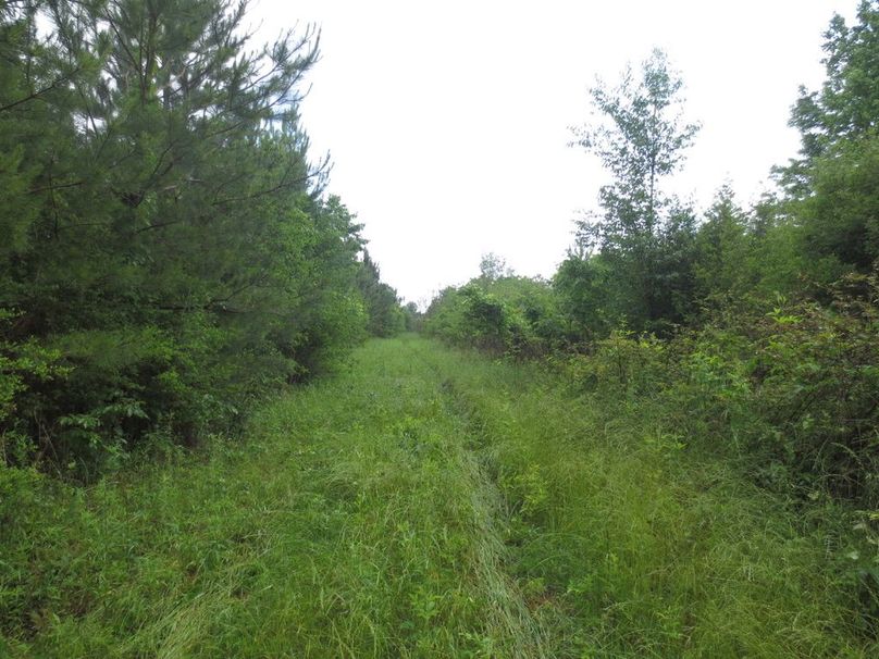 E46C52BE-F05C-4713-9315-A2C277E26437_1_105_c