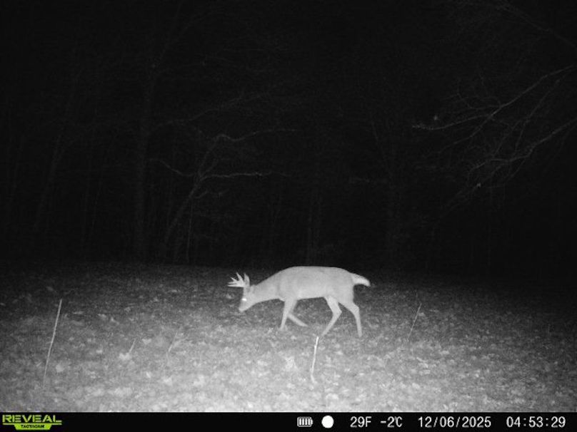 860516067590665-30-3-12062025045328-V-W1000051