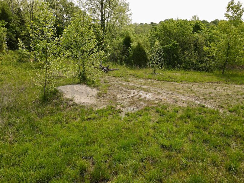 dji_fly_20230517_101808_394_1684336702303_photo