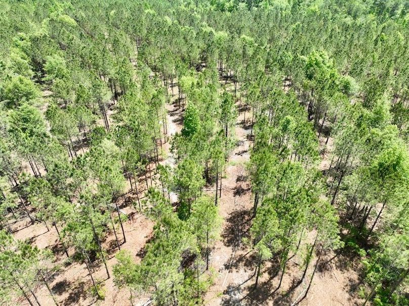 dji_fly_20260429_133832_633_1777484732639_photo