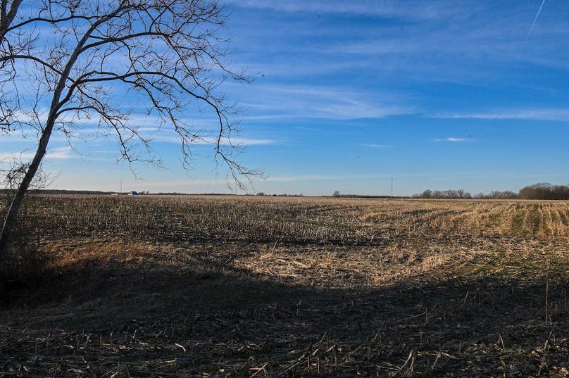 vandalia 450 (2)-2191