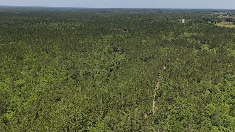 DJI_20240516124524_0024_D