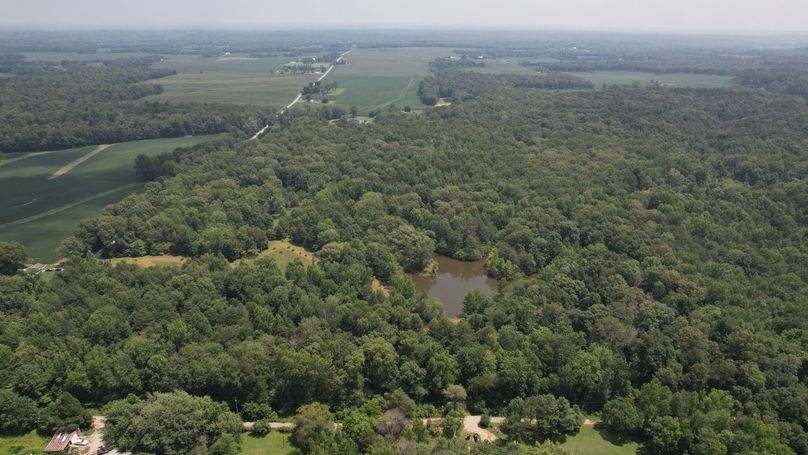 Copy of DJI_0237