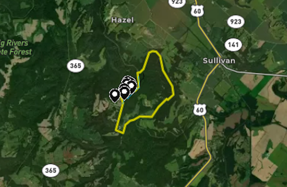 Screenshot 2026-03-10 132959