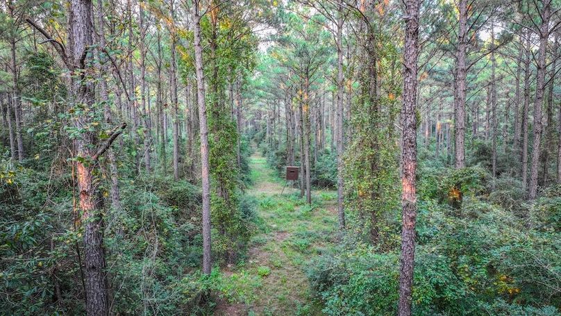 DJI_20250918181434_0205_D