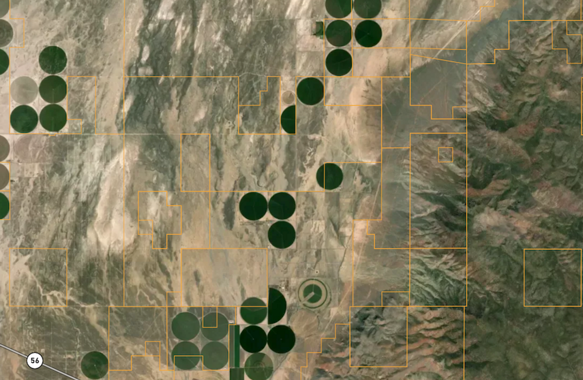 Screenshot 2025-08-22 at 12.37.37 PM