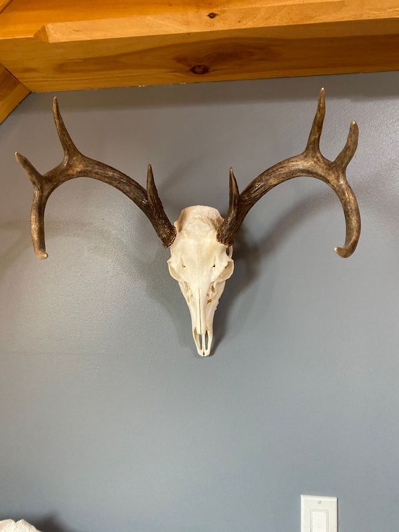 68910588553__3BD9E1F9-539F-45A5-AFA2-A29918CD8DA9