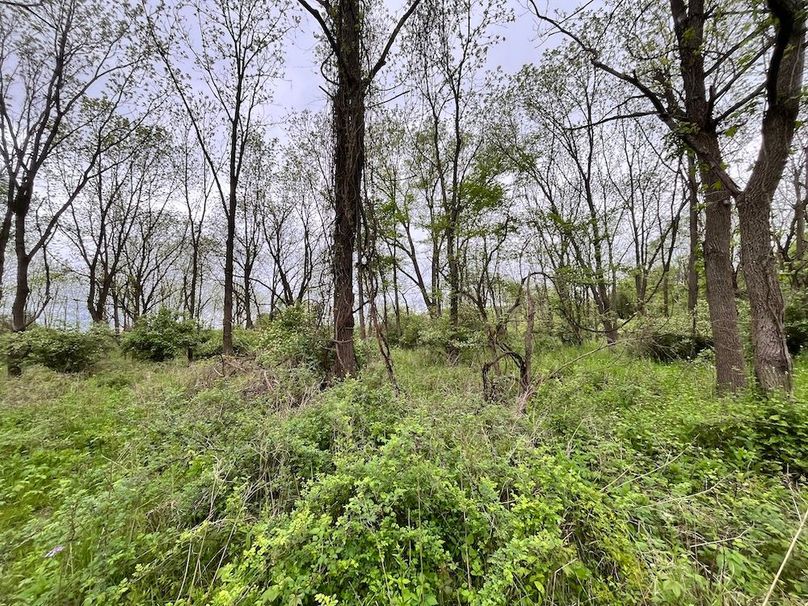 Chemung_3.5_Rouseland Photo 12