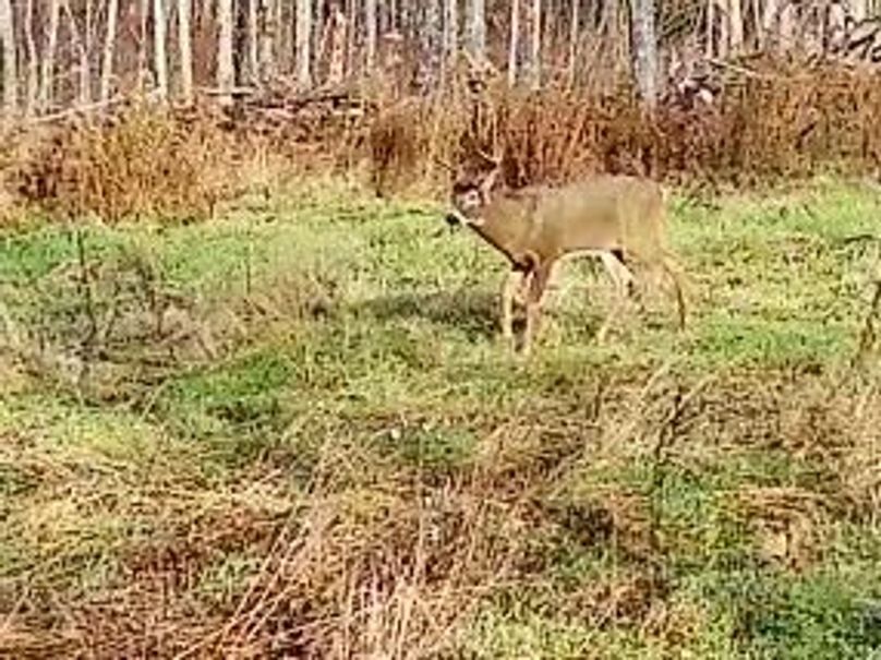 657f4df7-4aa5-4ae2-bb20-3ea9cdeb7394