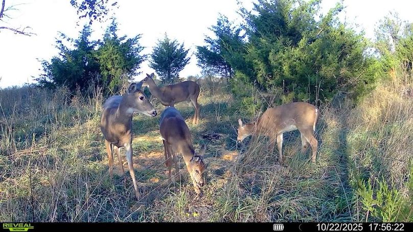 016578004572365-100-4-10222025175622-SYFW12768