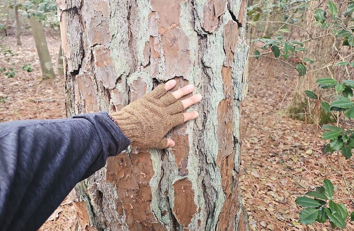 Romancoke_QAnnes_PIC_03