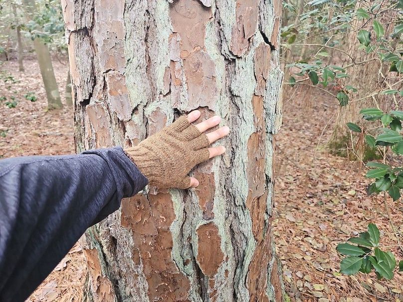 Romancoke_QAnnes_PIC_03