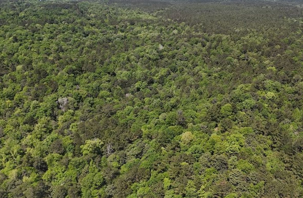 DJI_20250417115532_0001_D