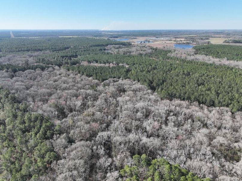 dji_fly_20240207_104110_53_1707320787934_photo